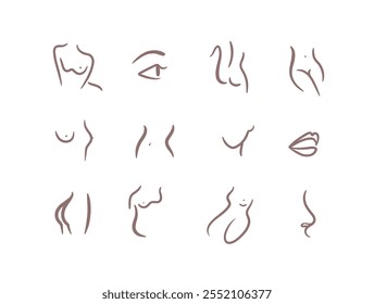 Body parts drawing in linear art style with beige on brown background
