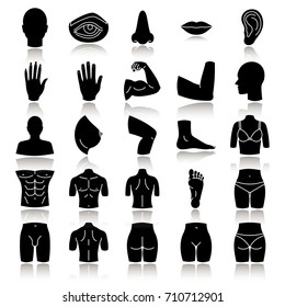 Body parts drop shadow black glyph icons set. Anatomy. Health care. Isolated vector illustrations