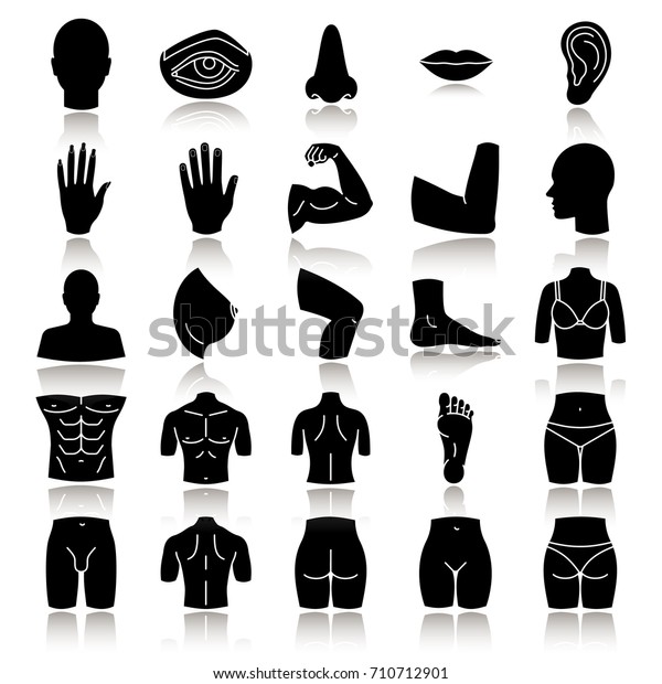 Body Parts Drop Shadow Black Glyph Stock Vector Royalty Free 710712901 9256