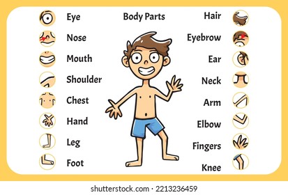 Body Parts, easy to understand for kids