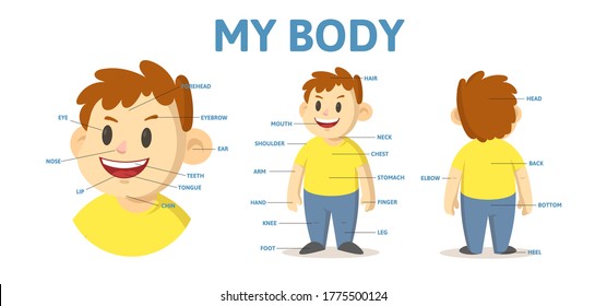 Body parts educational poster for English language students, with nouns and cartoon character. Flat vector illustration. Isolated on white background.