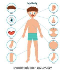 5,207 Body Parts Activities Children Images, Stock Photos & Vectors ...