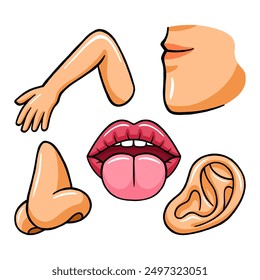 body parts element vector illustration