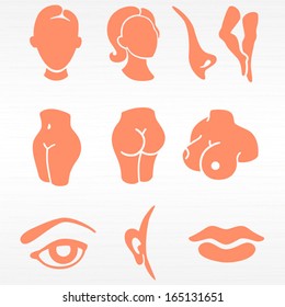 Body parts and face zones icon set / Solid fill set in EPS 8 format