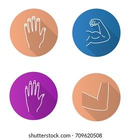 Body parts flat linear long shadow icons set. Male and female hands, muscular bicep, elbow joint. Vector outline illustration