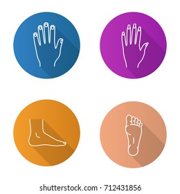 Body parts flat linear long shadow icons set. Male and female hands, feet. Vector outline illustration