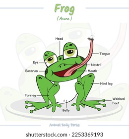 Body parts of a frog.
Vector, ready to use, easy to edit, ready to print, cartoon.