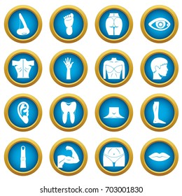 Body parts icons blue circle set isolated on white for digital marketing