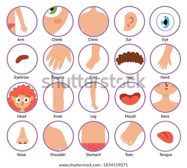 83 Girl Cartoon Circle With Hands And Legs Images, Stock Photos ...