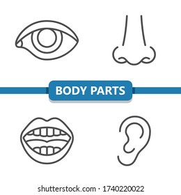 Body Parts Icons. Professional, pixel perfect icons. EPS 10 format.