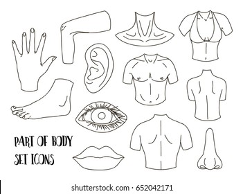 Body Parts Icons Set