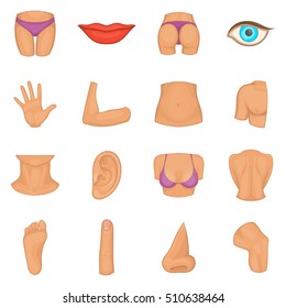 Body parts icons set. Cartoon illustration of 16 body parts vector icons for web