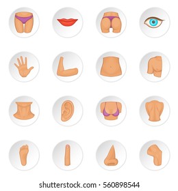 Body parts icons set. Cartoon illustration of 16 body parts vector icons for web