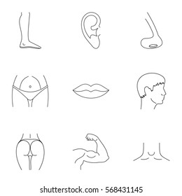 Human Body Icons Set Outline Illustration Stock Vector (Royalty Free ...