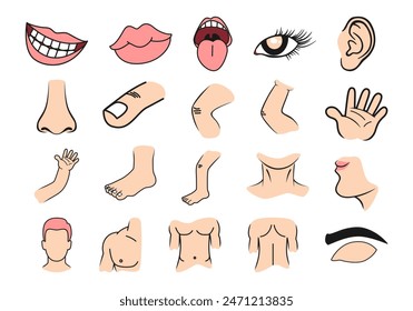 Body Parts Illustration Element Set