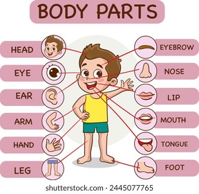 Body parts infographic with cartoon boy and various body parts vector illustration.