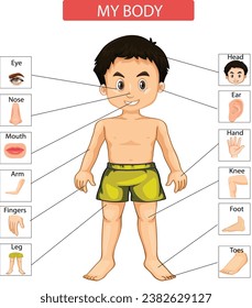 body parts for kids illustration human body ,  cut sheet, kids body pars, children body parts boy  parts illustration cut sheet