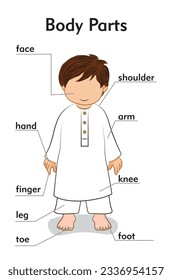 body parts for kids vector art knowledge 