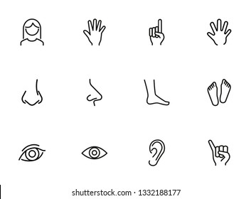 Body parts line icon set. Hand, nose, foot. Body care concept. Can be used for topics like gesturing, healthcare, anatomy