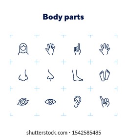 Body parts line icon set. Hand, nose, foot. Body care concept. Can be used for topics like gesturing, healthcare, anatomy