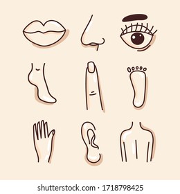 Body parts: lips, nose, ear, finger, pregnancy, back, leg on an isolated background. Black and white illustration of the human body. Concept: logo of a medical institution, education, Anatomy. Vector.