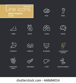 Body parts - modern vector plain simple thin line design icons and pictograms set - black background. Eyes, ear, limbs, heart, blood, lungs, brain, bladder, liver, stomach, kidneys locomotor system