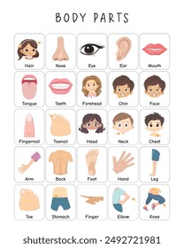 Body Parts Poster with Flashcards, Educational Posters, Montessori Materials, Nursery Wall Art, Teaching Resource, Classroom Decor