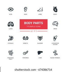 Body parts - set of modern vector line design icons, pictograms. Eyes, ears, limbs, heart, blood-vessels, lungs, brain, bladder, liver, stomach, kidneys, locomotor system, intestinal tract, pancreas