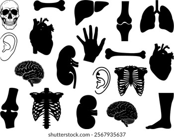 Body Parts silhouette on white background