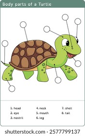 Body parts of a Turtle - Animals Body Parts