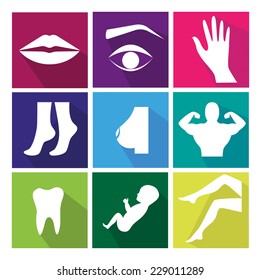 Body parts. Vector icon set