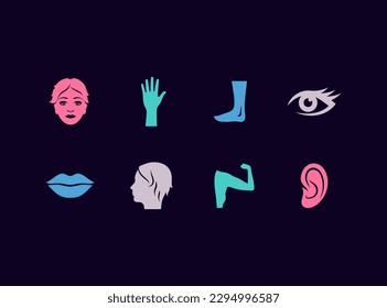 Conjunto de iconos del vector de partes del cuerpo. La cara, la mano, la pierna, el ojo, los labios, el brazo y los íconos del oído de la mujer.