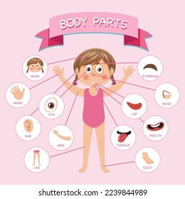 Body parts with vocabulary illustration