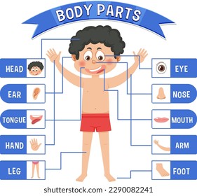Body parts with vocabulary illustration