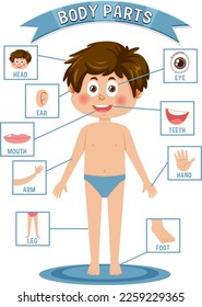 Body parts vocabulary for kids illustration