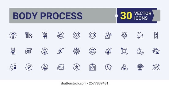 Body Process linear icon. Containing eat, Metabolism, diet, healthy, lactose, nutritionist, plan, food, balance. Icons for UI. Solid line editable stroke. Vector line and solid icons.