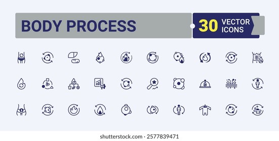 Body Process linear icon. Containing eat, Metabolism, diet, healthy, lactose, nutritionist, plan, food, balance. Icons for UI. Solid line editable stroke. Vector line and solid icons.