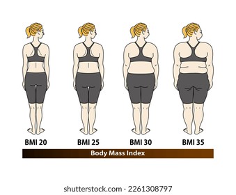 Cambio de forma corporal por índice de masa corporal. Vista posterior femenina. Ilustración de BMI (Índice de Masa Corporal). Vector.