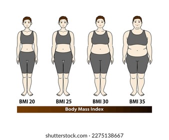 Body shape changes in middle-aged woman according to BMI index. Illustration. Vector.