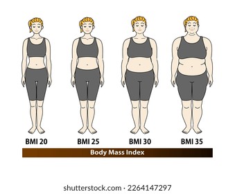 Cambios en la forma corporal en mujeres jóvenes según el índice de IMC. Ilustración. Vector.