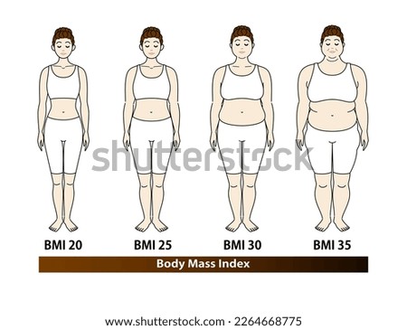 Body shape changes in young women according to BMI index. Illustration. Vector.