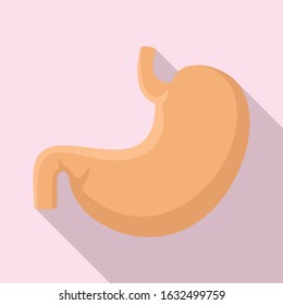 Body stomach icon. Flat illustration of body stomach vector icon for web design