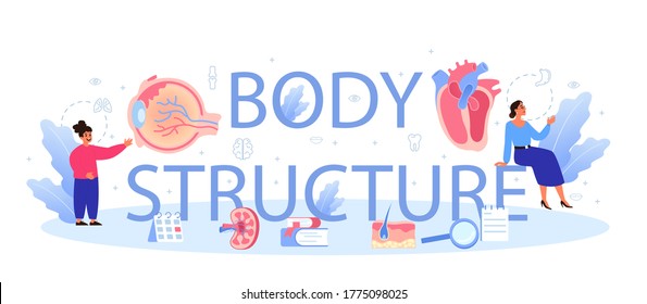 Body structure typographic header concept. Internal human organ studying. Anatomy and biology concept. Human body system. Liver and kidney, heart and stomach. Isolated flat vector illustration