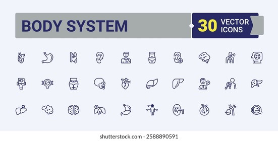 Body System isolated icon set. Contains linear outline icons like system, body, stomach, joint, health, digestive, leg, science. Minimalistic icon. Editable stroke icon collections.