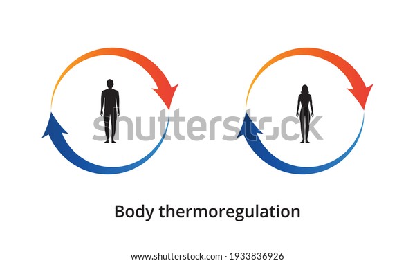 Body thermoregulation icon. Body heat\
retention. Human body silhouette. Vector\
illustration