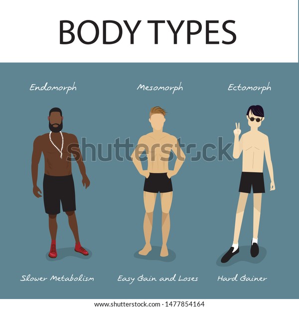 Mesomorph Body Type