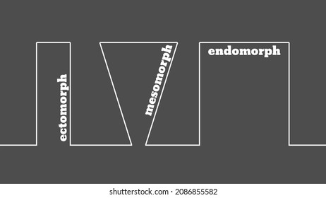 Body types icons set. Ectomorph, mesomorph and endomorph.