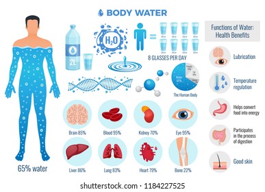 Body and water set with water functions symbols flat isolated vector illustration