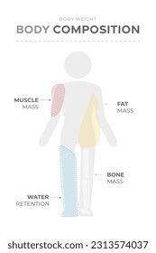 Body weight composition analysis. Different types of body elements mass: muscle tissue, bones mass, fat mass, water retention.
Human silhouette pictogram medical infographic vector illustration icon