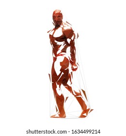 Bodybuilder, low polygonal vector illustration